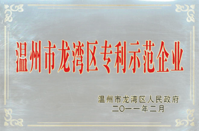 溫州市龍灣區(qū)專利示范企業(yè)